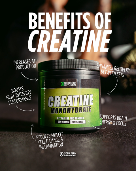 CREATINE 101 FOR 2026: EVERYTHING YOU NEED TO KNOW