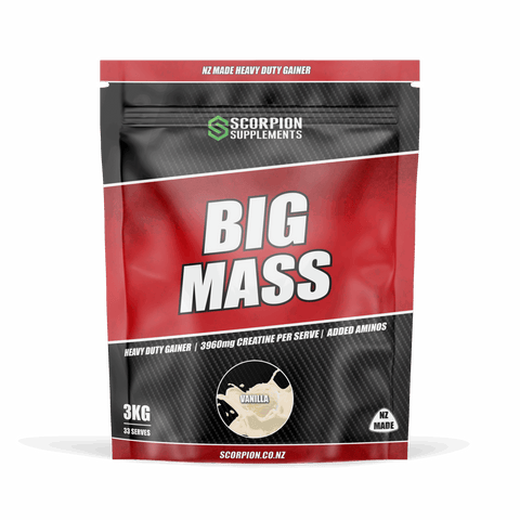 SCORPION BIG MASS 3KG