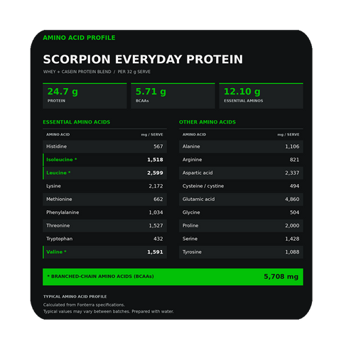 SCORPION EVERYDAY PROTEIN 1KG