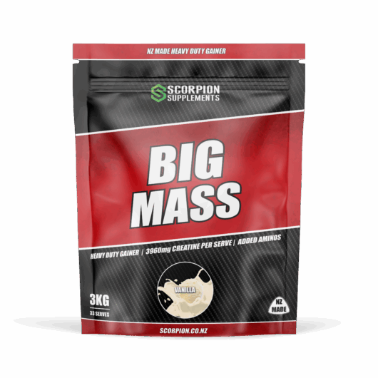 SCORPION BIG MASS 3KG