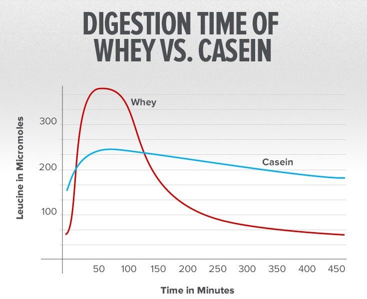 is Casein Protein? - Scorpion Supplements | Supplement NZ
