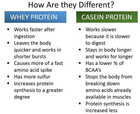 is Casein Protein? - Scorpion Supplements | Supplement NZ