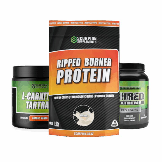 SCORPION SHRED STACK